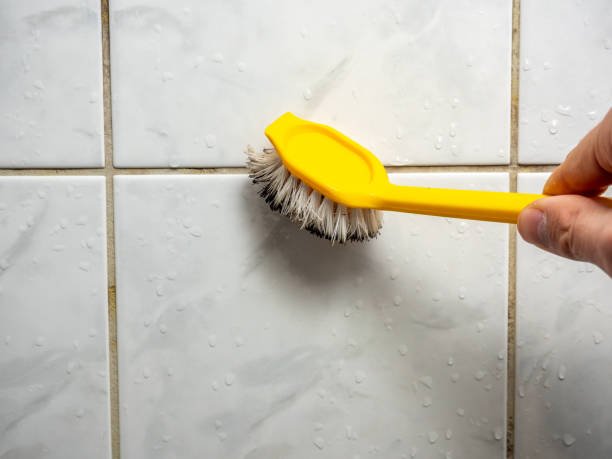 Best Local Mold Removal Service  in Arnaudville, LA