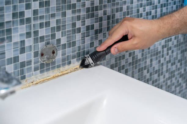 Best Mold Remediation  in Arnaudville, LA