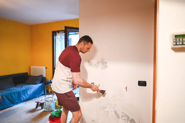 Best Black Mold Removal  in Arnaudville, LA